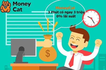 Moneycat - một trong những đơn vị tài chính hàng đầu tại Việt Nam