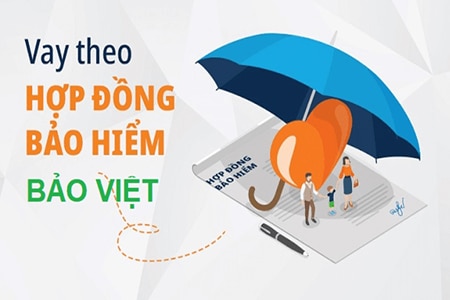 Vay tiền bằng bảo hiểm nhân thọ Bảo Việt thuộc hình thức vay tín chấp